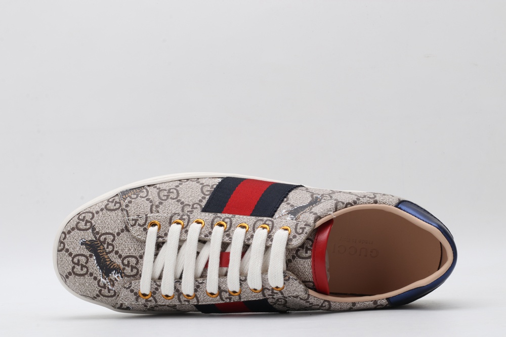 women s ace gg S*p*e sneaker